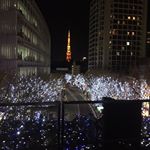六本木のイルミネーション✨落ち着いた色合いが幻想的でした…#わたしのクリスマス #ひかり味噌 #monipla #hikarimiso_fanのInstagram画像