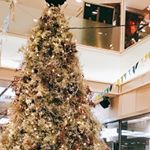 #わたしのクリスマス #ひかり味噌 #monipla #hikarimiso_fanクリスマスツリーはいつ見ても綺麗🎄✨のInstagram画像