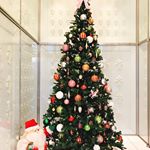 可愛いツリー🎄#わたしのクリスマス #ひかり味噌 #monipla #hikarimiso_fanのInstagram画像