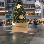 大きなクリスマスツリー🎄#わたしのクリスマス #ひかり味噌 #monipla #hikarimiso_fan #新千歳空港のInstagram画像