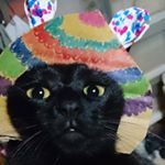 #共立食品 #手作りスイーツでクリスマス #monipla #kyoritsu_fanのInstagram画像