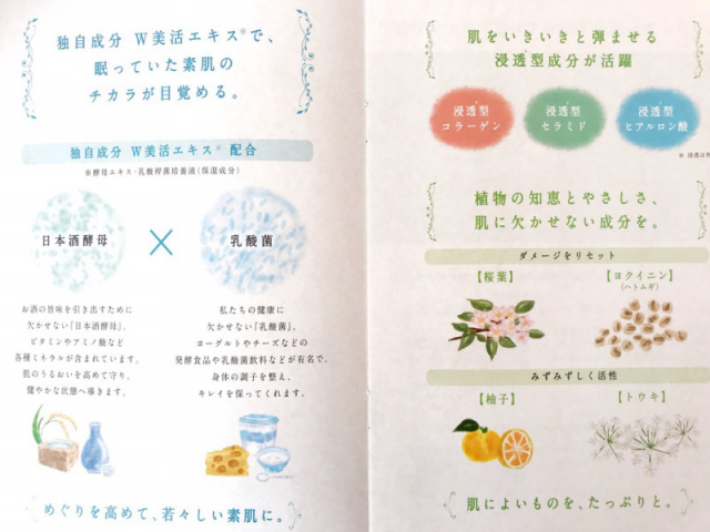口コミ：日本酒酵母×乳酸菌☆化粧水＆クリーム@プモアの画像（10枚目）