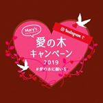 #愛の木に願いを #メリーチョコレート #monipla #mary_fan・ #グレイシャスファンシーチョコレート が食べたい❤️❤️❤️のInstagram画像