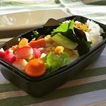 お弁当箱がよかったって話✏️ 小森樹脂4点ロックドーム型弁当箱OL時代はお弁当派でしたが、いかに小さいお弁当箱に詰め込むかの勝負でした。無理に詰め込んだせいで、食べる時にひっくり返した…のInstagram画像
