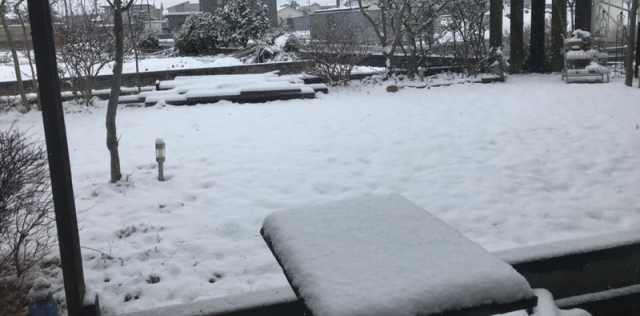 口コミ：グレーに馴染むワインカラーのパンツコーデ と積雪   ビューティーボタニカルの画像（4枚目）