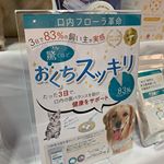 #プレミアモード #お口の善玉菌 #菌の生態系 #プロバイオデンタルPET #善玉マン #monipla #premiere_fanペットのお口も大切に！！口内フローラで健康！！のInstagram画像
