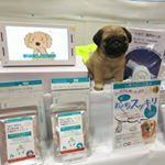 東京ビッグサイトで15日まで開催中の第87回東京インターナショナル・ギフト・ショー春2019に来ています。ご招待いただきました口腔菌のパイオニア　プレミアモード株式会社さまのブースへＧＯ！…のInstagram画像