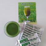 体に良いものは大抵美味しくないですが、この青汁プロはスッキリしていてゴクゴク飲めます、食事にも合います。最近の青汁は甘い味付けだったりしますが、青汁プロは大麦若葉とケールの二つだけ#非加熱絞り製法…のInstagram画像