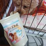 .犬のサプリを試してみました♡ .いつものドッグフードにふりかけるだけ💗 .ごはんの味が変わるわけでもなくサプリが摂取できるのがいいですねっ(´nωn`)💗 .わん…のInstagram画像
