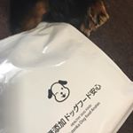 いっぱい食べた〜(^^)美味しかったんだね！無添加で安心(^^)ドッグフード(^^)💙 #ドッグフード無添加安心本舗 #無添加ドッグフード #ドッグフード #monipla #dogf…のInstagram画像