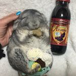 これは……ベリーでしゅ🐭10***目が悪い私……☝️☝🏻☝🏼ゲームのしすぎね🤣 【有機アロニア100%果汁ジュース】﻿ （有機JAS認証マーク付き）﻿ アロニアって何？って思ったけ…のInstagram画像