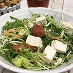 .連投失礼します🙇‍♀🙇‍♀🙇‍♀.今日の晩ごはん❥メインディッシュは#水菜のサラダ 🌿.ごま油と麺つゆで作ったドレッシングに梅干し刻んで入れて、極めつけは梅干しどぉーーーーん！❤…のInstagram画像