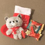 メリーチョコレートさんから素敵なプレゼント頂きました🎁💕 商品名《ブーティーキトゥン》赤い靴下からひょっこりはんしてる子猫のぬいぐるみ※チョコ5つ入ってます♡aoiは猫好きだから、…のInstagram画像