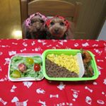 1段のままでも重ねて2段にもできちゃうセパレートランチボックスでお弁当を作ったよ🍱*フタがドーム型だからおかずを盛っても大丈夫🤗*水分の出るサラダや果物、丼物を分けて入れると便利だ…のInstagram画像