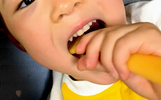 口コミ：お子様にも舌磨き習慣を🎵ののじ子ども舌クリーナー「舌も！Kids」の画像（5枚目）