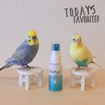 .ルル&メル:「オーラパールマウススプレー」で、ママのお口がキレイになるぞ！🐥😘🐥.「オーラパールマウススプレー」は、ドライマウスに着目した口腔用スプレーで、保湿成分リピジュア®配合。保水性に優…のInstagram画像