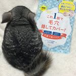 ※母の日のプレゼントでしゅよ🐭10※えーん😭パックにハマってるし……毛穴の悩みがあるから。治るかなー？🤣※@monipla_official  @pdc_jp 様ありがとう…のInstagram画像
