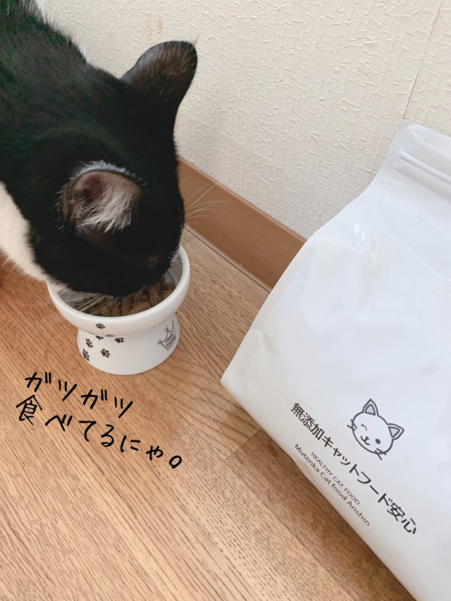 口コミ：猫様のご飯。の画像（6枚目）