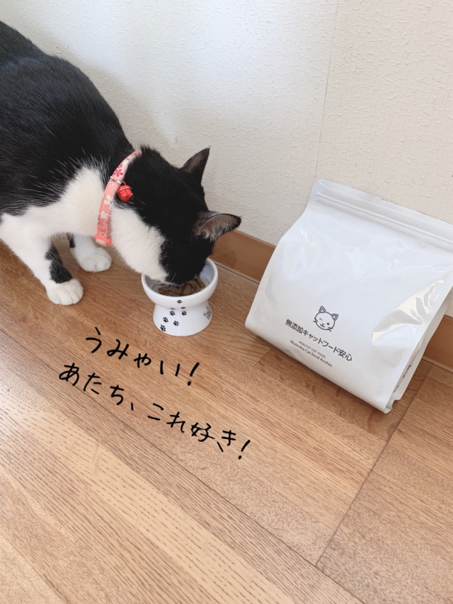 口コミ：猫様のご飯。の画像（5枚目）