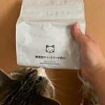 無添加キャットフードのお試しをウチの猫達にあげてみました。袋を見せた瞬間から興味津々の様子のウチのしま５歳🐈そしてウチのトラちゃん７歳🐈袋を開けると匂いがしたのか物凄くクンクンし始めました…のInstagram画像