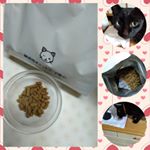 □『無添加キャットフード安心』※安心できる素材で作られたキャットフードなので匂いも添加も一切されていません。 ※無添加キャットフード安心なら給仕量も半分で大丈夫です。 □ウチの愛猫は1…のInstagram画像