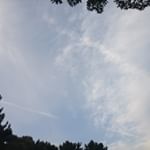 #PG2 #PG2フェイスマスク #プロテオグリカン #フェイスマスク #ラジオ #keeponsmile #PG2ラジオ #monipla #joyfullife_fanのInstagram画像