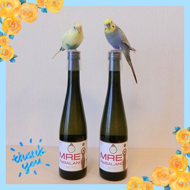 口コミ投稿：.ルル＆メル:『MREリバランス』で、ママが健康になるぞ！🐥🐥😊✨RURU&MERU:Con 