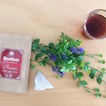 ..数年前、妊娠をきっかけに好きになった#ルイボスティー ☕️✨..ノンカフェインでありミネラルの宝庫と呼ばれています✨健康にも美容にも良いお茶です🥰さっぱりと…のInstagram画像