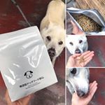 小粒ペレット状でシニア犬にも食べさせやすい#無添加ドッグフード はこだわりの詰まったフードです多種類の生肉が主原料➡︎偏ったタンパク質を摂り続けることによるアレルギーのリスクを回避…のInstagram画像