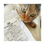 株式会社ケーエーナチュラルフーズさんの、キングアガリクス100ペット用【犬・猫用】をお試しさせて頂きました🍀余計な添加物を一切加えずに、キングアガリクス100％の製品ですし、元々は人間…のInstagram画像
