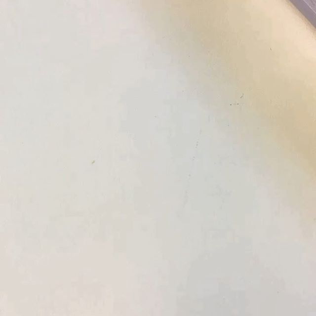 口コミ投稿：#abc #monipla #aainccojp_fan