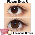 フラワーアイズRアネモネブラウン(@flowereyes.info ).( 'ω'o[ 直径14.5mm 直径直径14.0mm BC8.6 ]o±0.00～-7.00マンスリー…のInstagram画像