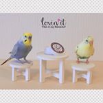 .ルル＆メル:『eye-PAT』でママのおめめがポカポカ、リフレッシュするんだって！🐥🐥🙄RURU&MERU:Gli occhi della mamma si scaldano e si ri…のInstagram画像