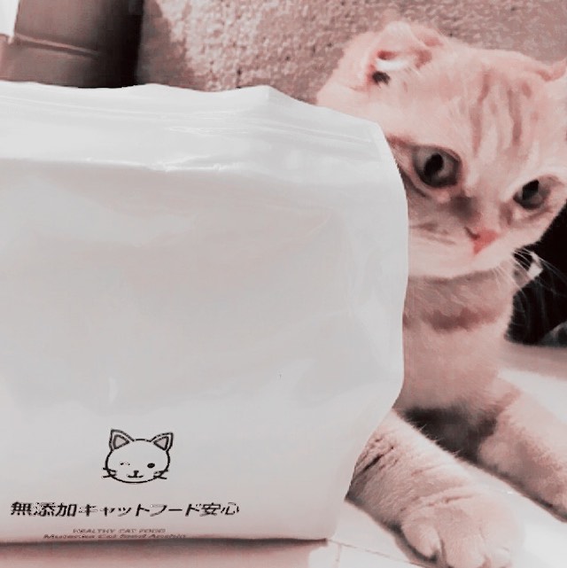 口コミ投稿：#無添加キャットフード #キャットフード #無添加安心本舗 #monipla #dogfoodmutenkah…