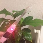 歯磨き粉なしで磨ける👍😊ボタンを押すと点灯してイオンが発生しているのを確認できる✨👍#キスユー #歯ブラシ #KISSYOU #monipla #ionic_fanのInstagram画像