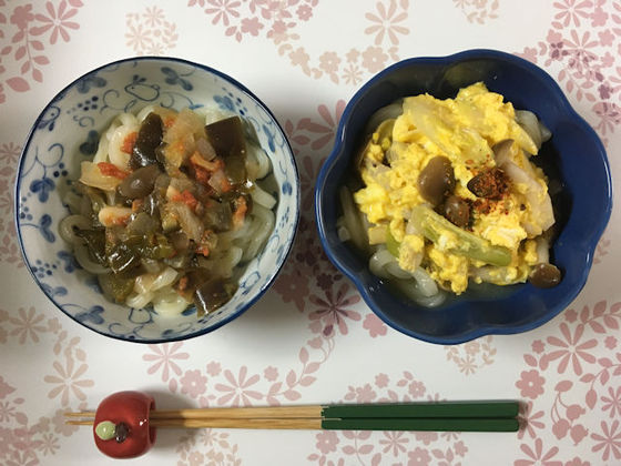 口コミ：【テーブルマーク】あなたはどう食べる？冷凍うどん～♪の画像（5枚目）