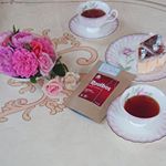 最近はオアシスに生け花みたいにグサグサ刺して飾るのにはまっています🌹🌹🌹😂😅 株式会社TIGER プレミアム・ルイボスティー500mlペットボトル用ティーバッグ 南アフリカの強力な太陽光を活用…のInstagram画像