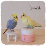 .ルル&メル:『ピュア ナチュラル』で、ママのお顔はツヤピカだぞ！🐥🐥😊✨MERU:Con のInstagram画像