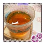 ㅤㅤㅤㅤㅤオーガニック・プレミアムルイボスティー 500mlペットボトル用ㅤㅤㅤㅤㅤㅤㅤオーガニック認証を取得した最高級グレードの茶葉を100％使用しているそうです✨ㅤ…のInstagram画像