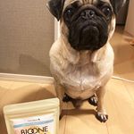 初めてのモニターは﻿「【愛犬用】バイオワン毛づやサポート」♡﻿﻿説明を読んでみると…﻿🐕こんなわんちゃんにおススメ﻿・毛づや 口臭 体臭 便臭 が気になる﻿・お腹の調子が良くな…のInstagram画像