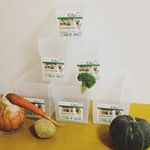 💚キレイベジストッカー💚冷蔵庫の中、ごちゃごちゃしてませんか❓キレイベジストッカーなら、冷蔵庫の野菜室がスッキリ✨意外と面倒臭いお手入れも簡単になる便利アイテムです❣️.野菜って、…のInstagram画像