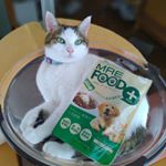 飼い主しか違いが分からないシリーズになってしまった😅どの写真も似てるようで違う表情。これから食後の睡眠に入るのでリラックスなワニ目。素敵♥#MREフードプラス #MREFOODPLUS #…のInstagram画像