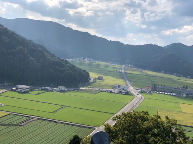 口コミ：♡はだかブラで大野をブラブラ観光〜天空の城に登ってみた〜ψ(｀∇´)ψ♡の画像（7枚目）