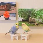 .ルル＆メル:『夏の思い出』をオールインワンファブリックパネルにしよう！🐥🖼🐥RURU&MERU:Crea un pannello in tessuto all-in-one per のInstagram画像