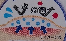 口コミ：オールマイティで便利な絆創膏の画像（9枚目）