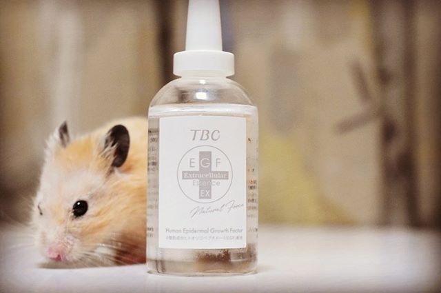 口コミ投稿：TBCのエクストラエッセンス(o^^o) 潤いと肌本来の力を呼び覚ます美容液。 60ml 9020…