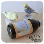 .ルル＆メル:『Cureバスタイム』で、ママはリラックスするんだって！🐥🐥🍊🛀RURU&MERU:Mamma si rilassa con のInstagram画像
