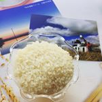今、自宅で食べているthe#北海道ファーム のお米とってもおいしいです♡なんと！第11回あなたが選ぶ日本一おいしいお米コンテストで「優良金賞」を受賞したお米なんです！私がいただいた令和元年10…のInstagram画像
