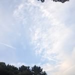 #ダンダンスラリ #ダイエット #ダイエットサプリ #monipla #orthocorp_fanのInstagram画像