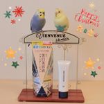 .ルル&メル:『ダイレクトホワイトdeW 美白ファンデーション』で、ママのお顔はツヤピカだぞ！🐥🐥😊✨MERU:Usa のInstagram画像